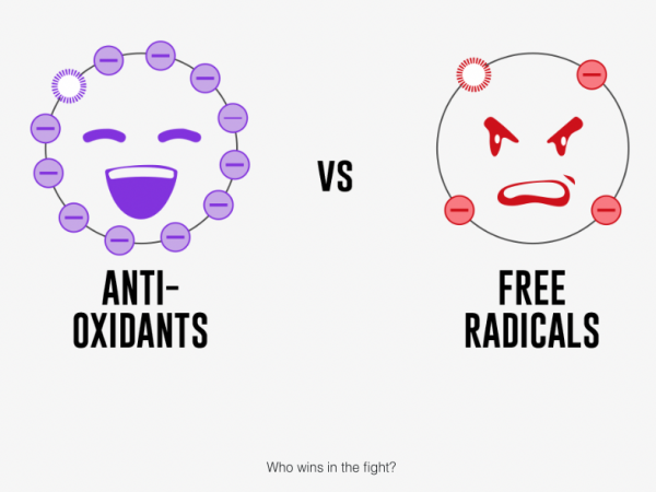 Antioxidants vs. Free Radicals